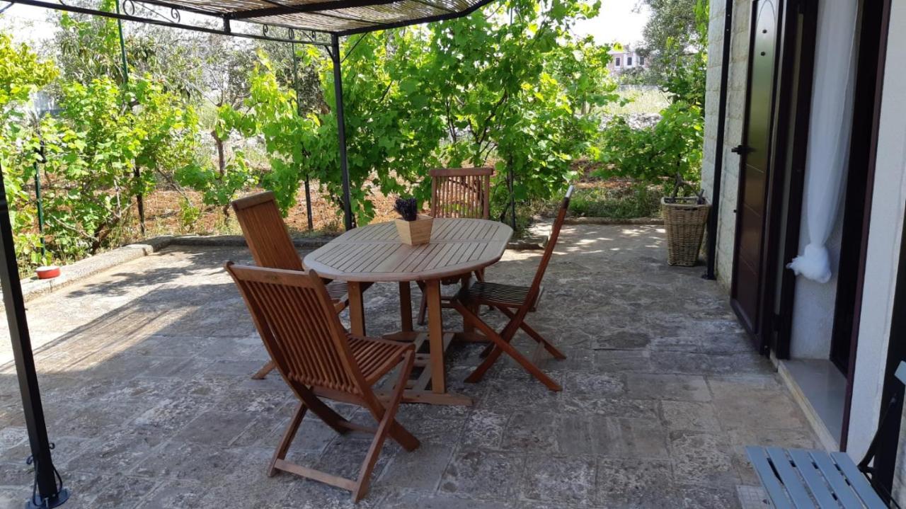 Casa Alle Vigne 폴리나노 아마레 외부 사진